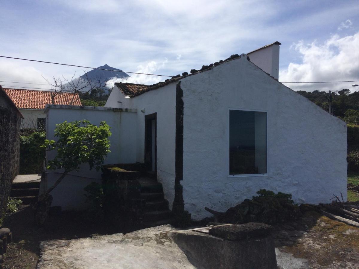 Santo Antonio  Casa Do Castanheiro 빌라 외부 사진