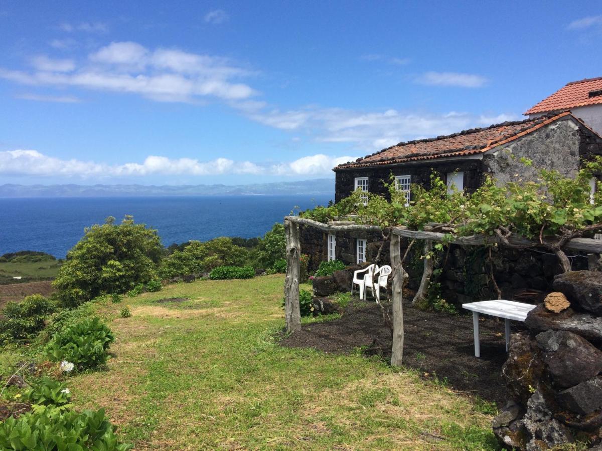 Santo Antonio  Casa Do Castanheiro 빌라 외부 사진