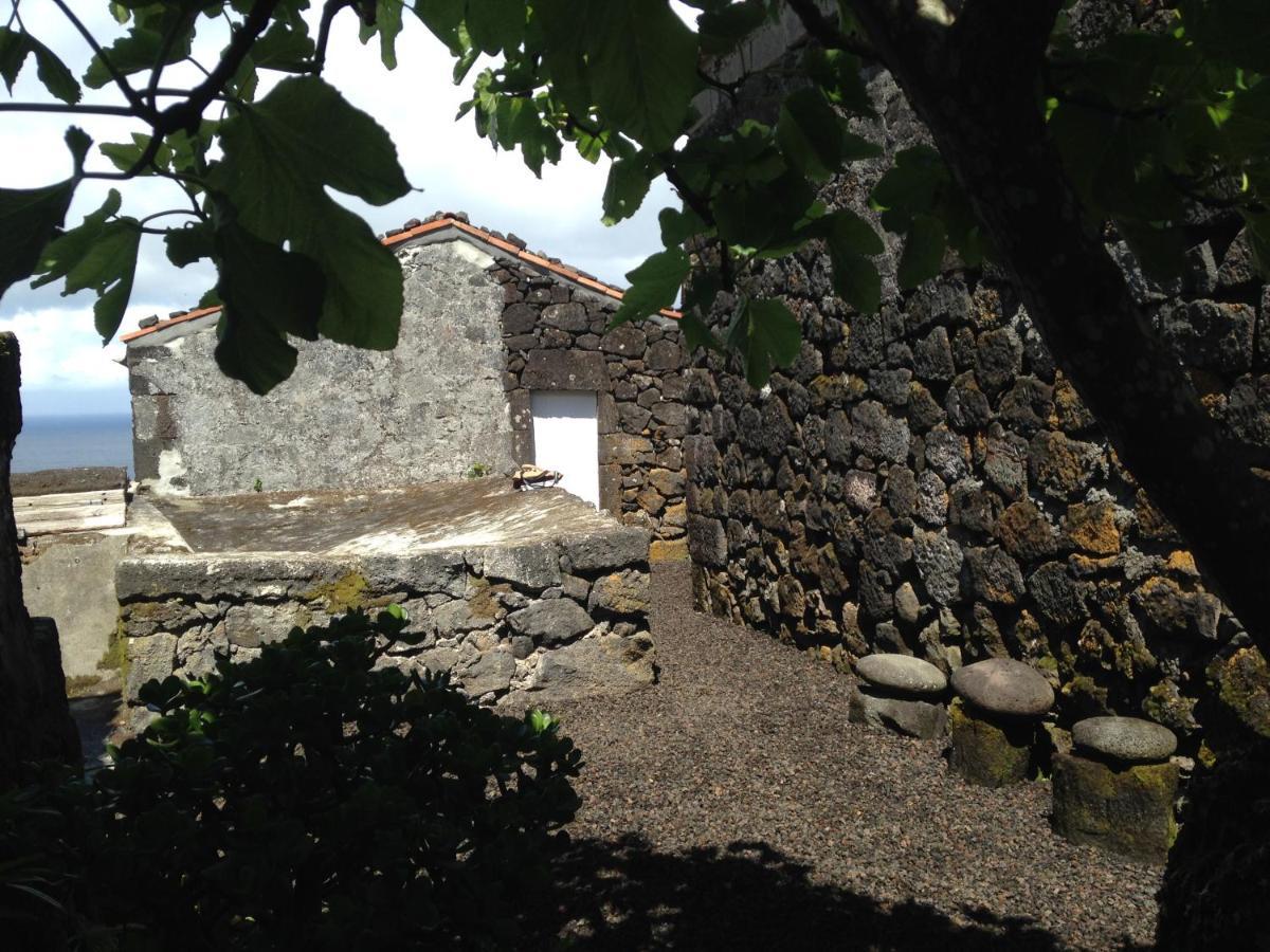 Santo Antonio  Casa Do Castanheiro 빌라 외부 사진