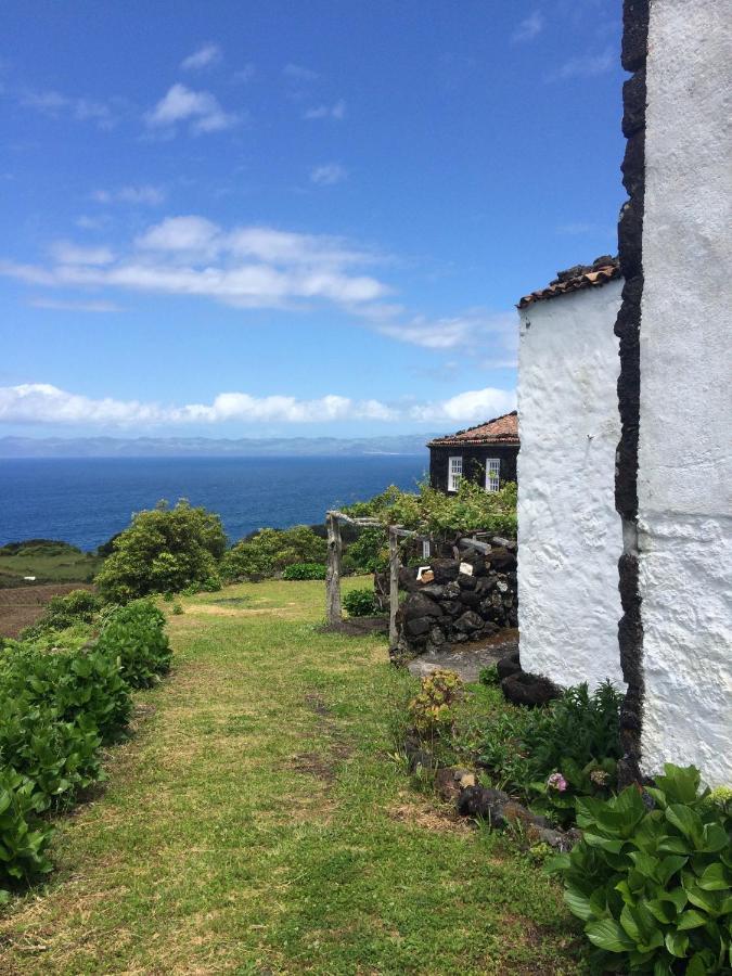 Santo Antonio  Casa Do Castanheiro 빌라 외부 사진